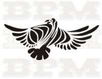 /album/vtaky/vtaky-15-jpg/